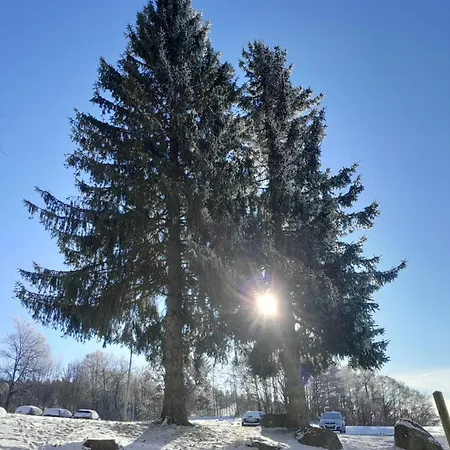 Апартаменты Marina In Sankt Englmar, Bayerischer Wald, Familienfreundlich